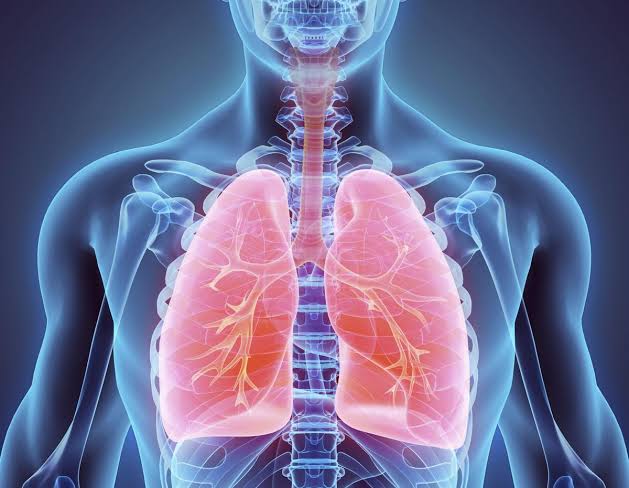 أكثر ثماني أمراض في الجهاز التنفسي انتشاراً